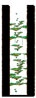 北部森林训练场Ⅴ