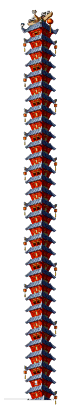 武陵道场近道
