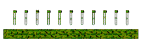 Carnival Field 1 <Battle Field>